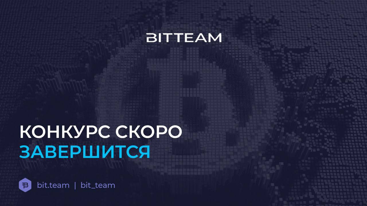 Тим бит