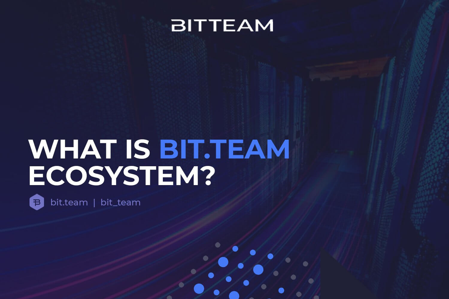 What is the BIT.TEAM ecosystem?
